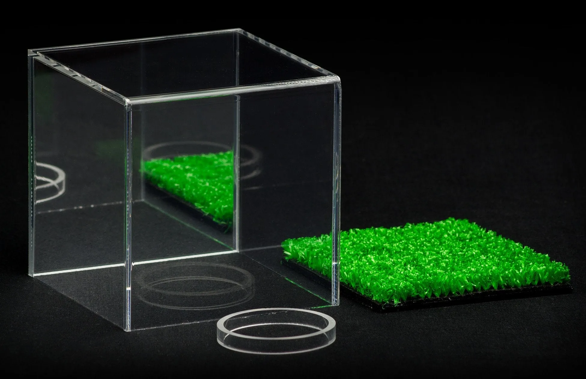 Acrylic Cricket or Bocce Ball Display Case (B23/A057)