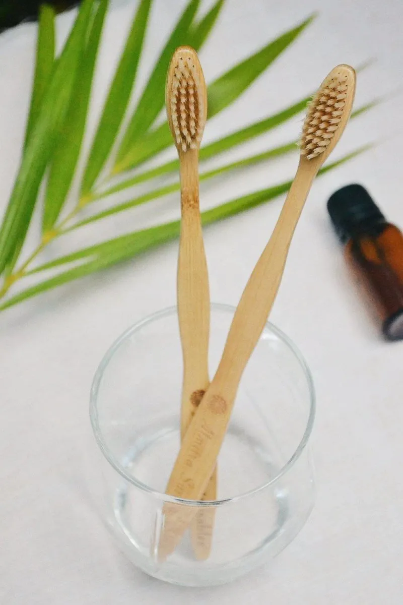 Bamboo Bristle Toothbrush - Pack of 2