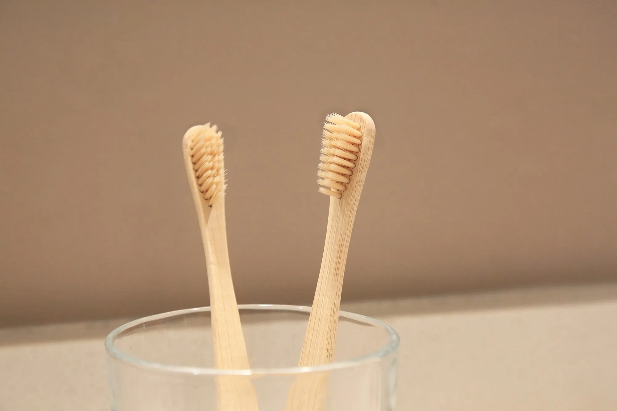 Bamboo Toothbrush