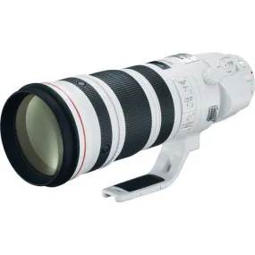 Canon EF 200-400mm f/4L IS USM Extender 1.4x