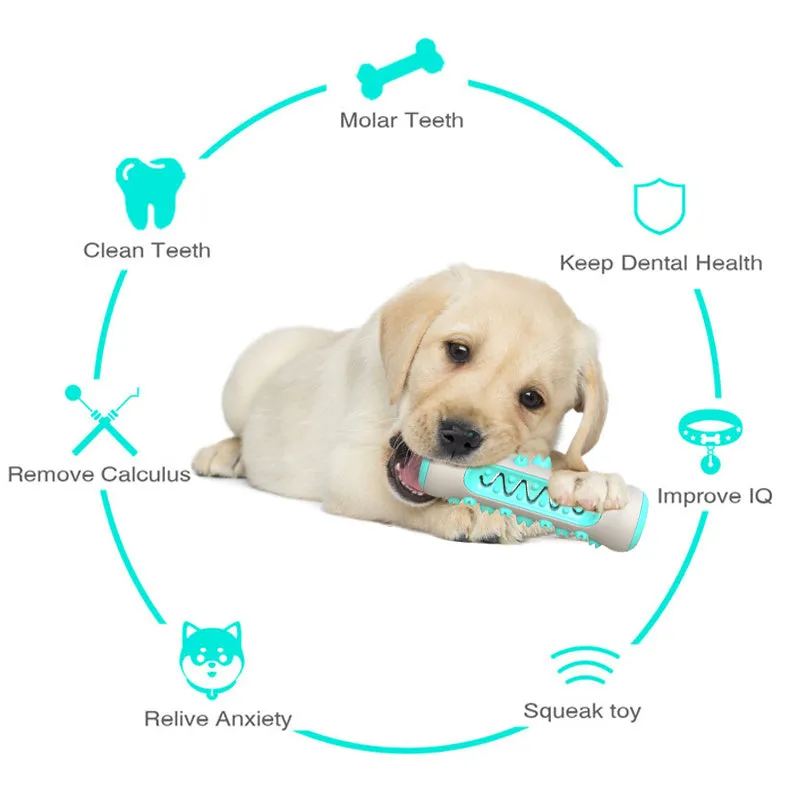 Chew Cleaning Teeth Safe Puppy Dental Care