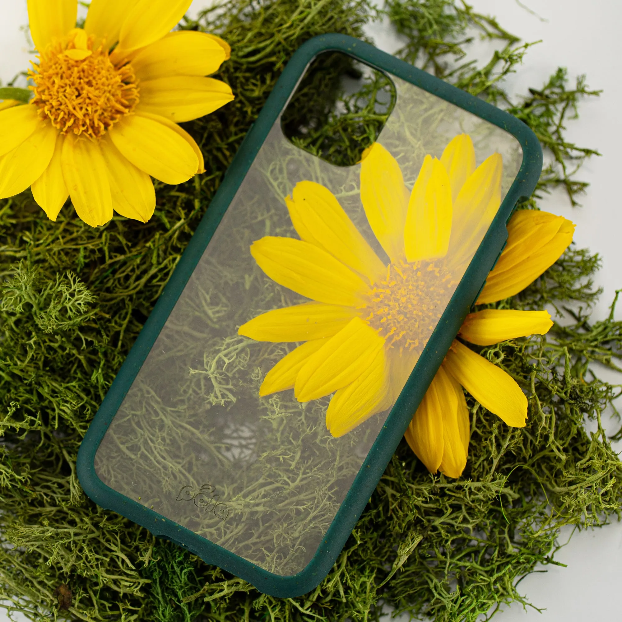 Clear iPhone 11 Case with Green Ridge