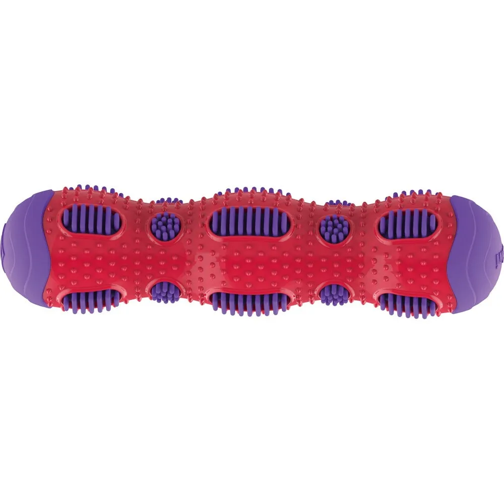 KOHE-VERSARY 8% OFF: GiGwi Toothbrush Stick Rubber Dog Toy