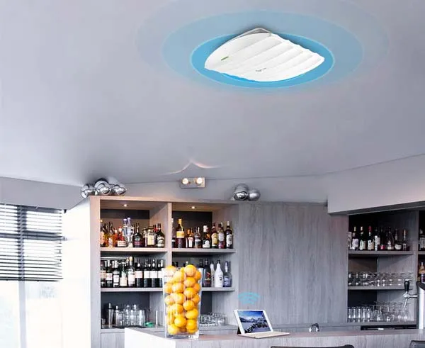 N300 Wireless N Ceiling Mount Access Point